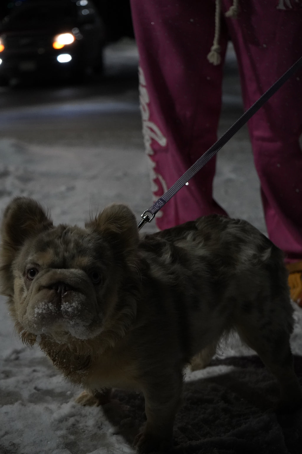 Manifest Millions® Luxury Heavyweight Set — Pink Rhinestone Edition(Double Embroidery) | Unisex Fit| Pullovers