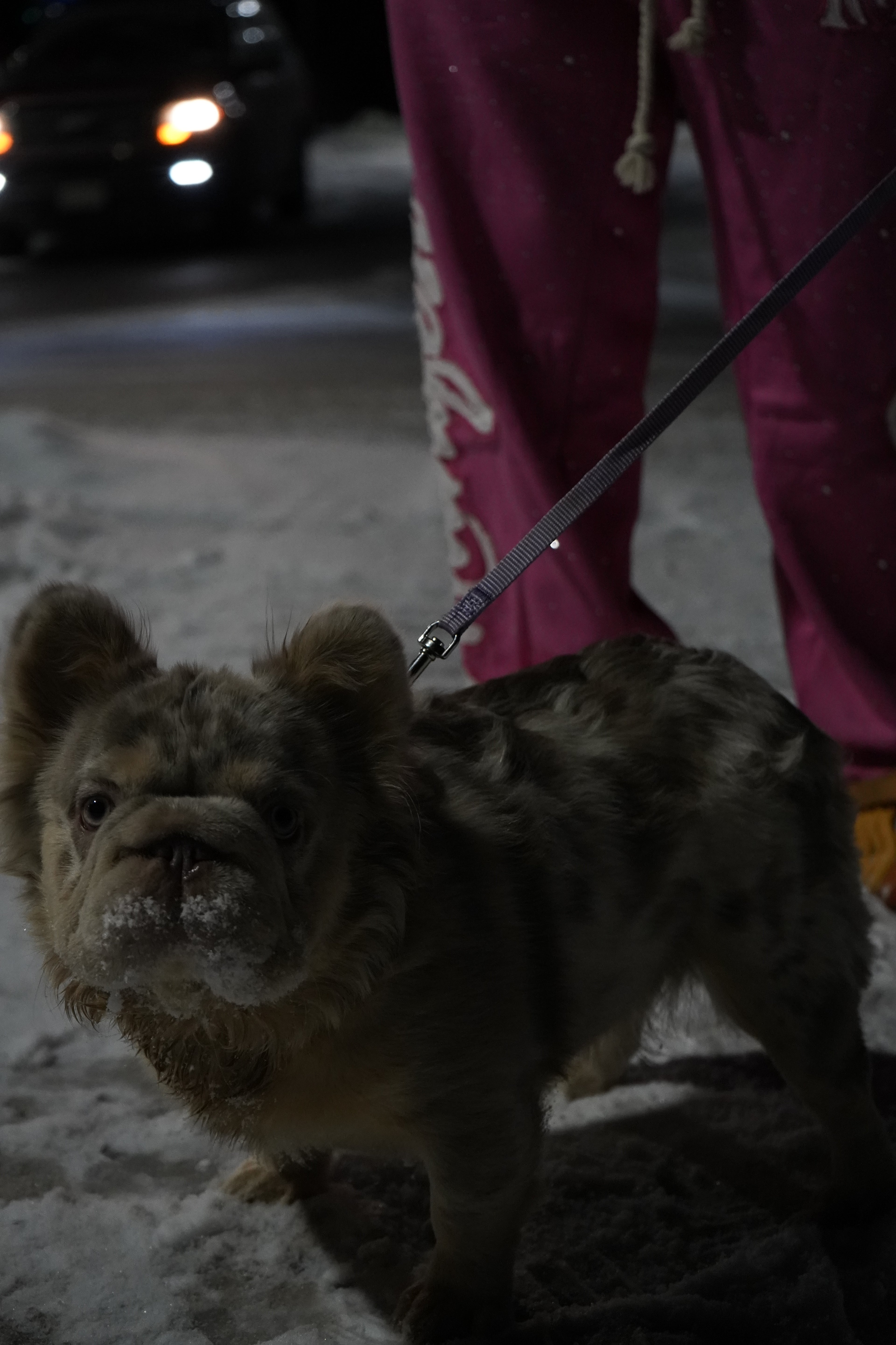 Manifest Millions® Luxury Heavyweight Set — Pink Rhinestone Edition(Double Embroidery) | Unisex Fit| Pullovers